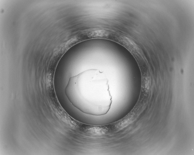 X0000088220326200705151420