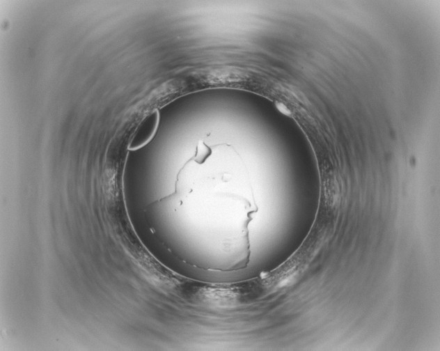 X0000088220327200705151420