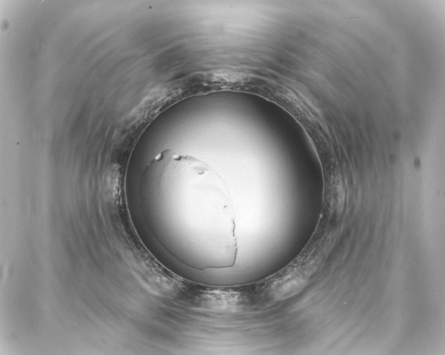 X0000088220328200705151420