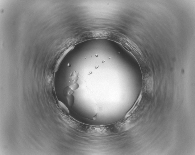 X0000088220329200705151420