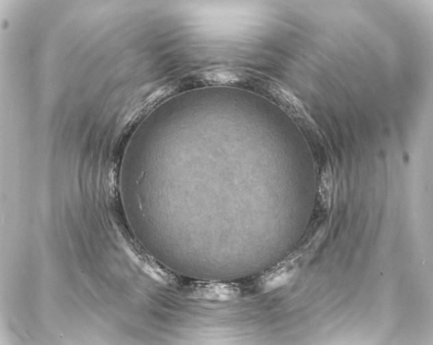 X0000088220330200705151419