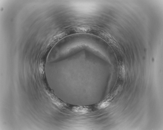 X0000088220331200705151419