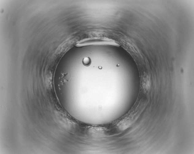 X0000088220332200705151419