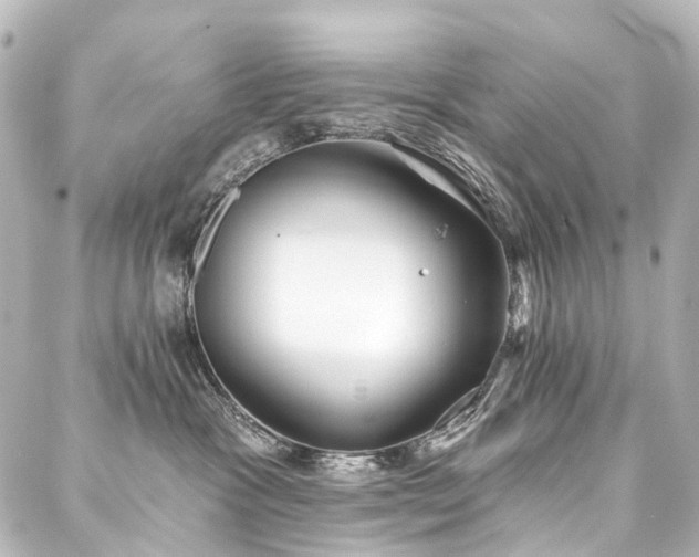 X0000088220333200705151419