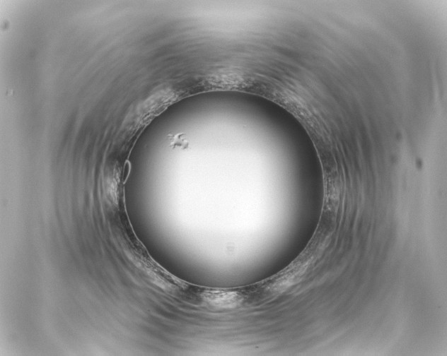 X0000088220334200705151419