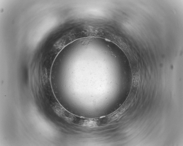 X0000088220335200705151419