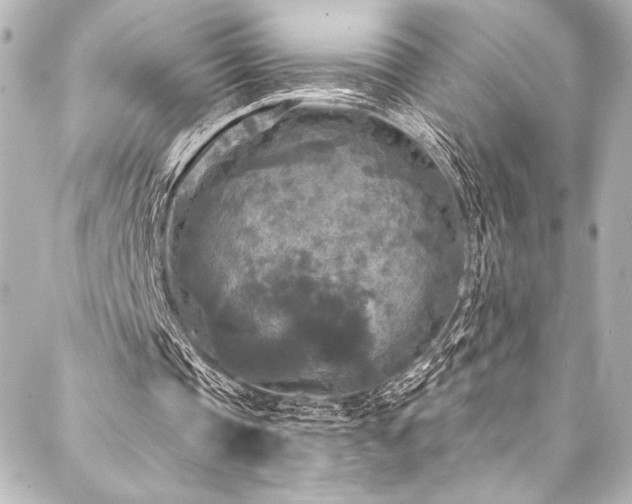 X0000088220337200705151419