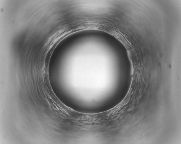 X0000088220338200705151419