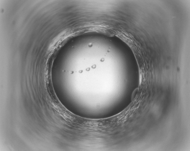 X0000088220339200705151419