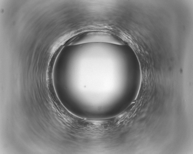 X0000088220340200705151419