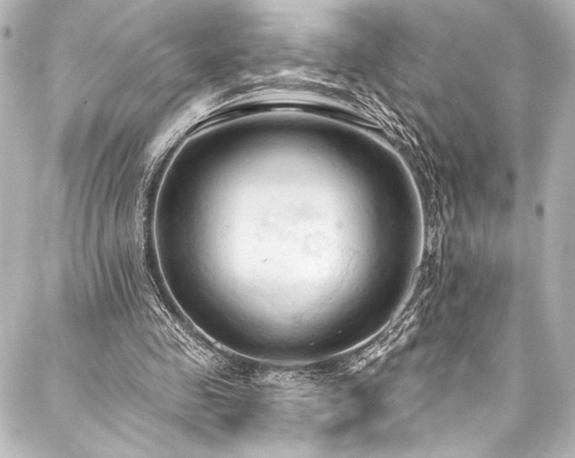 X0000088220341200705151419