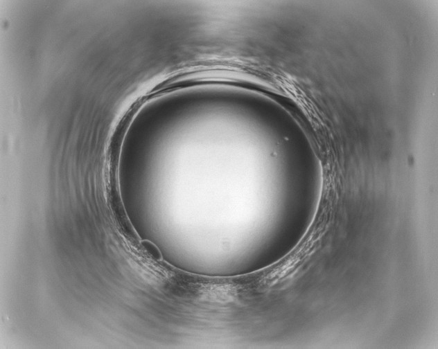 X0000088220342200705151419