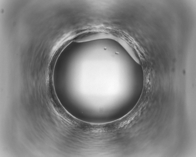 X0000088220344200705151419