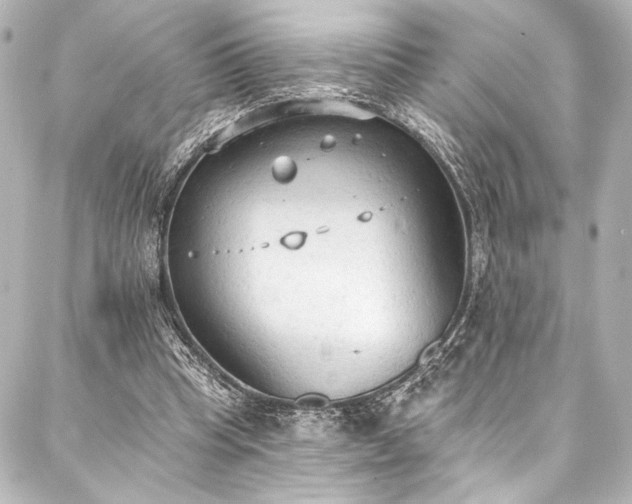 X0000088220345200705151419