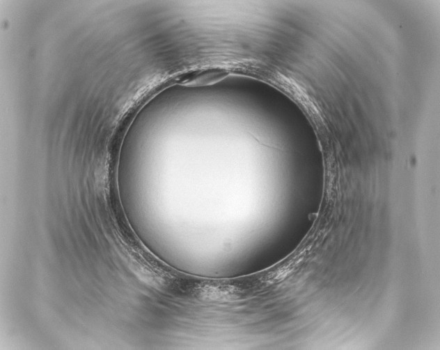 X0000088220346200705151419