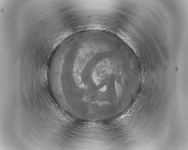 X0000088220347200705151419