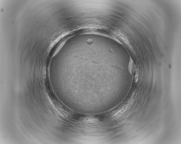 X0000088220348200705151419