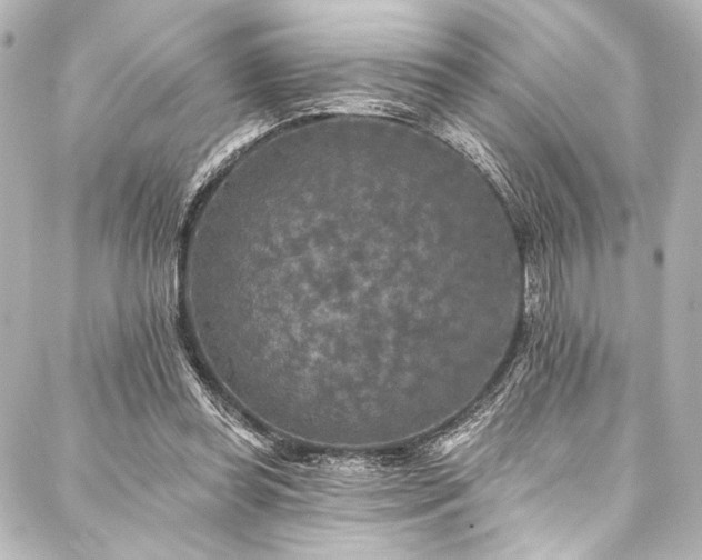 X0000088220349200705151419