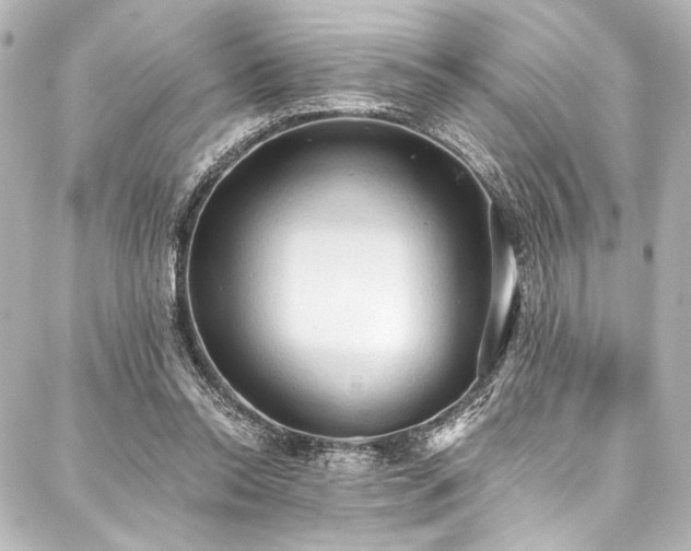 X0000088220350200705151419