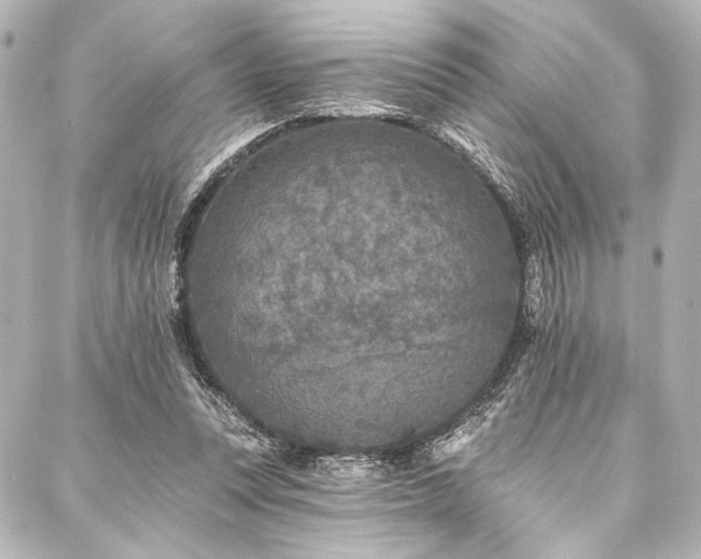 X0000088220351200705151419