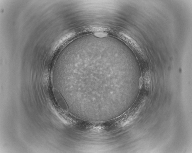 X0000088220352200705151419