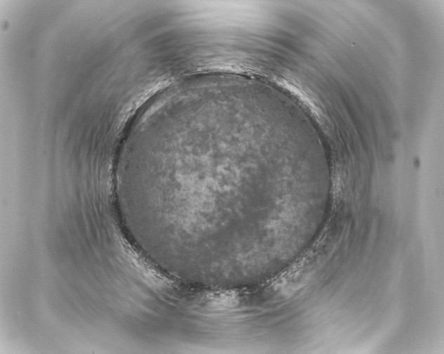 X0000088220353200705151419