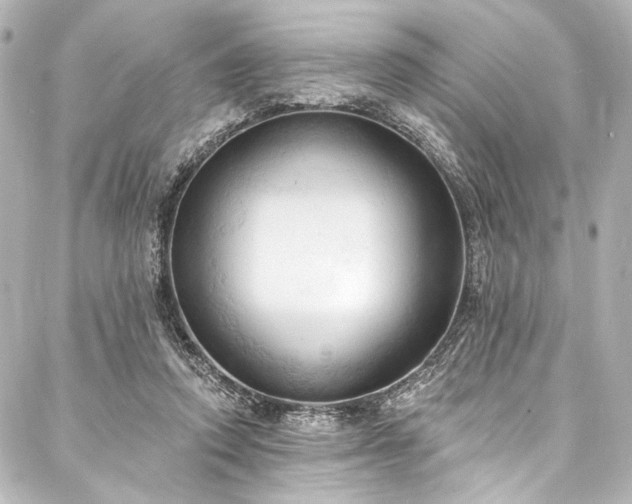 X0000088220354200705151419