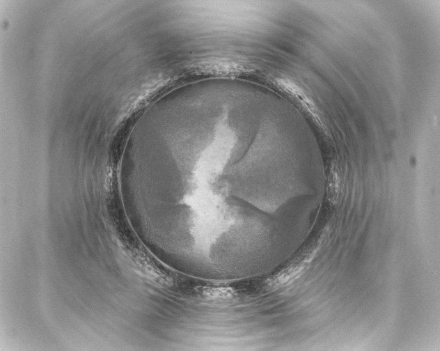 X0000088220355200705151419