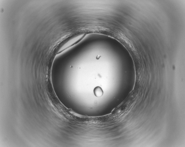 X0000088220356200705151419