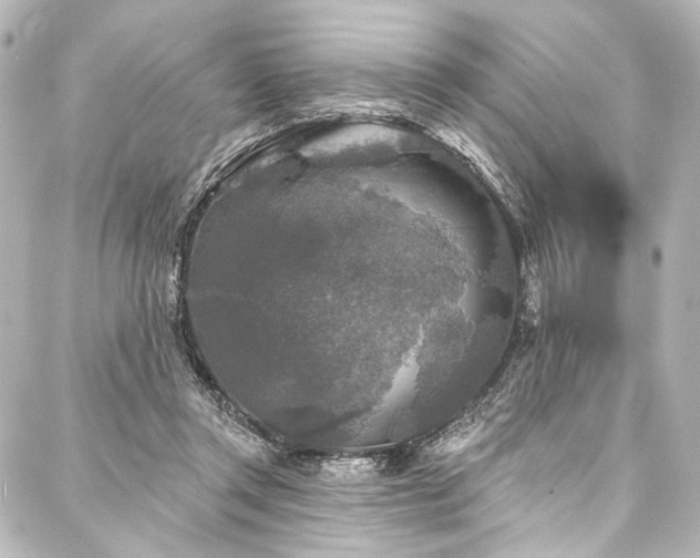 X0000088220357200705151419