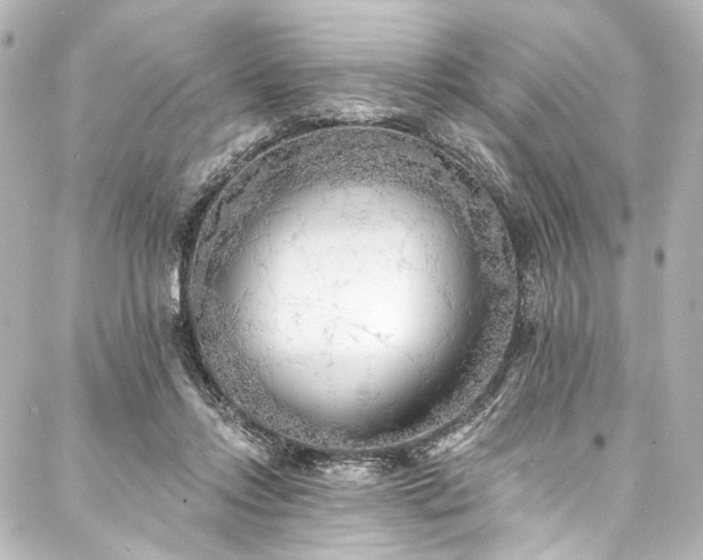 X0000088220358200705151419