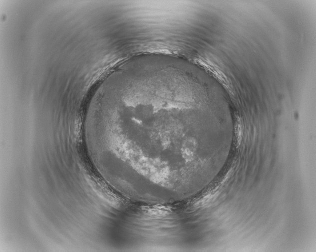 X0000088220359200705151419