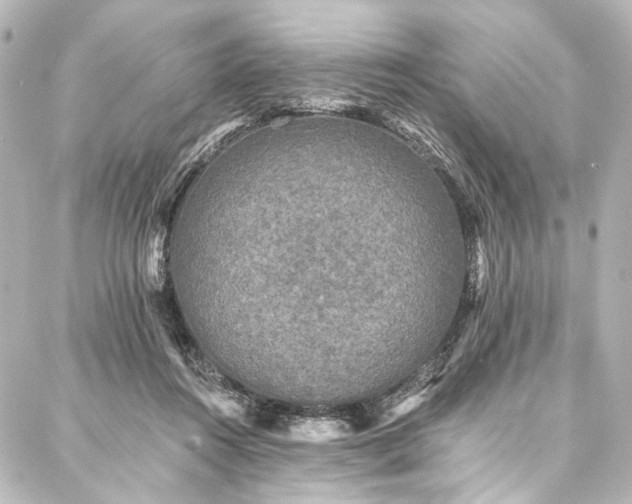 X0000088220360200705151419