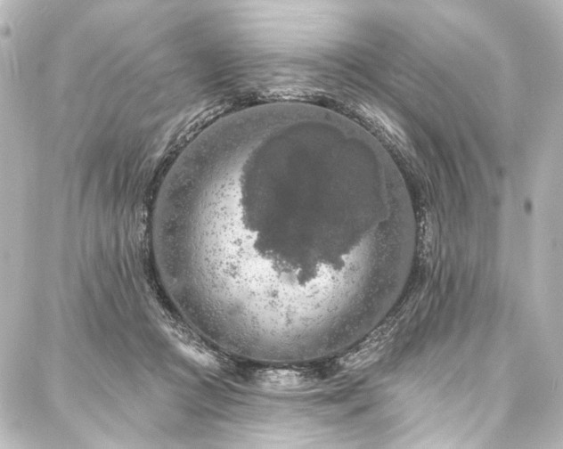 X0000088220361200705151419