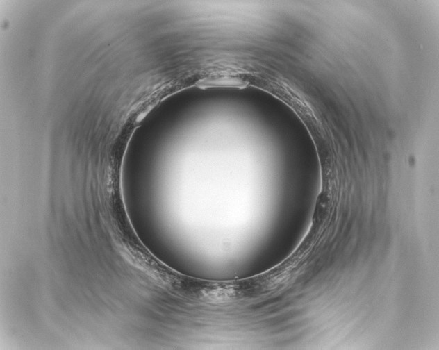 X0000088220362200705151419