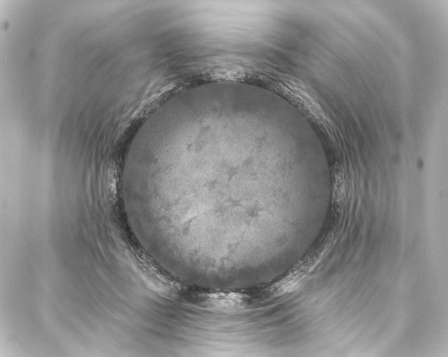 X0000088220363200705151419