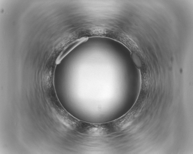 X0000088220364200705151419