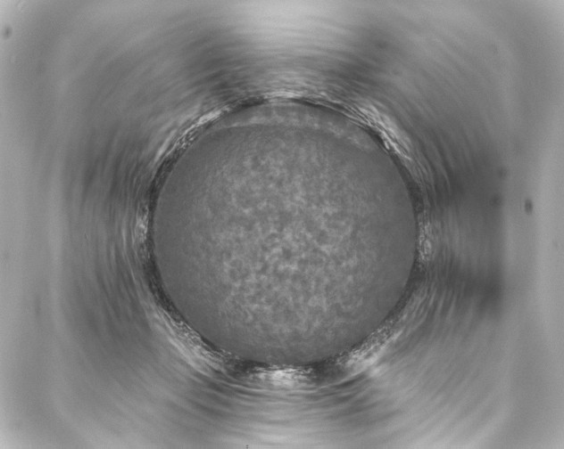 X0000088220365200705151419