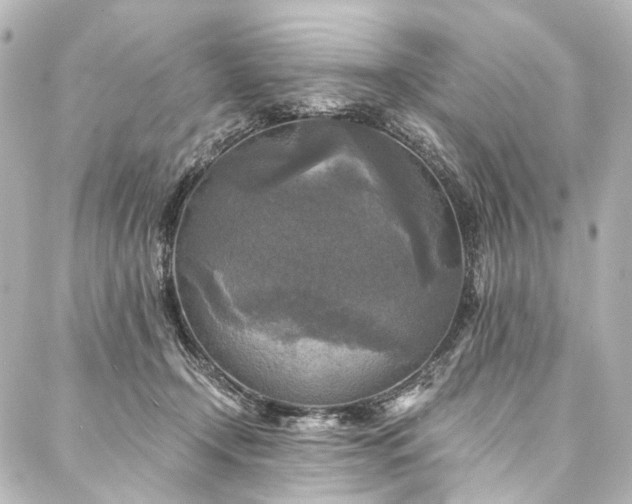 X0000088220366200705151419