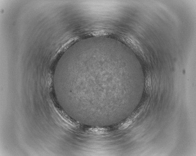 X0000088220367200705151419