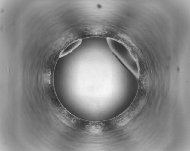 X0000088220368200705151419