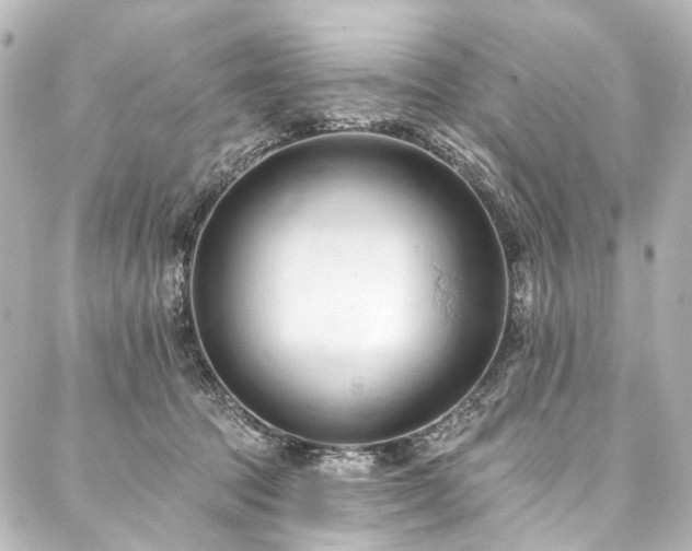 X0000088220369200705151419