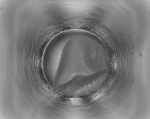 X0000088220371200705151419