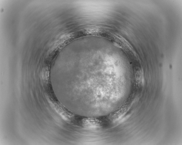 X0000088220372200705151419