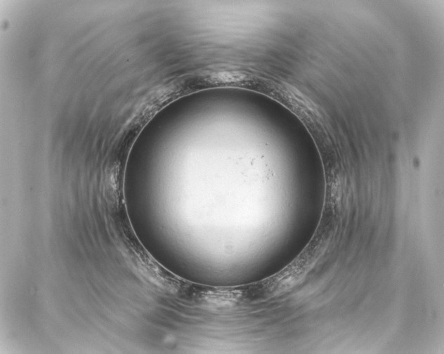 X0000088220373200705151419