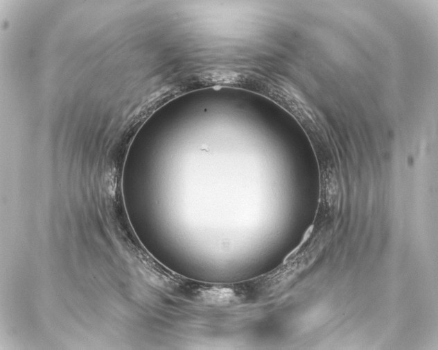 X0000088220374200705151419