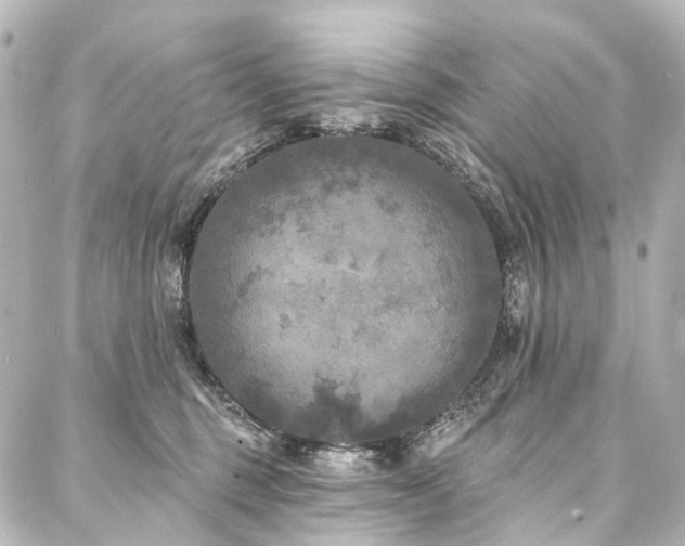 X0000088220375200705151419