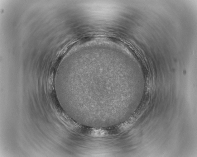 X0000088220376200705151419