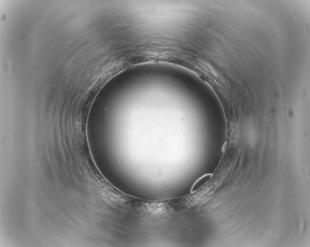 X0000088220377200705151419