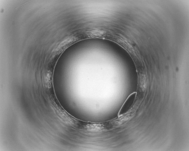 X0000088220378200705151419